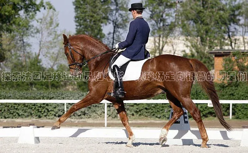 加拿大28圈曹操预测百度移动开放平台