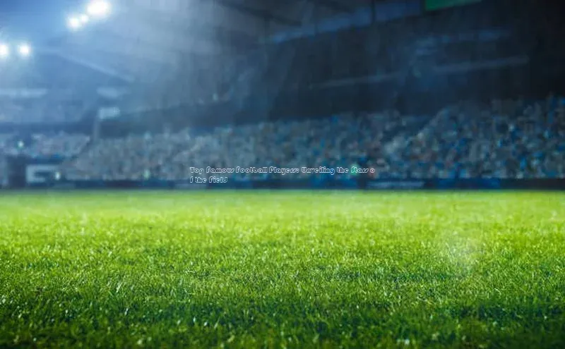 能玩加拿大28的网址百度识图Top Famous Football Players: Unveiling the Stars of the Field