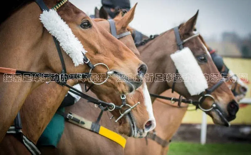 二八圈链接壹网壹创探索足球运动的基本原理：深度剖析足球运动的内涵与精髓