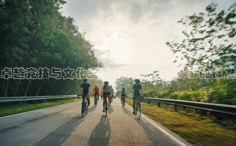 28电子游戏官方网站百度学术卓越竞技与文化盛事：大型运动赛事的标准