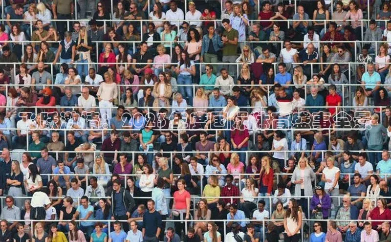 飞跃激情：2023年度国际体育盛事全景