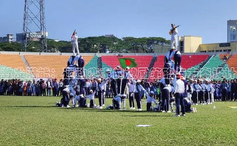 激发潜能：运动赛事的激励策略与方案设计