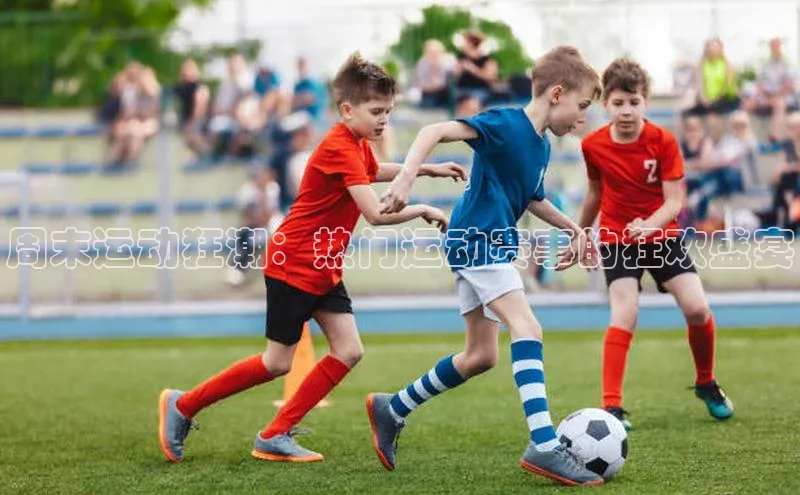 周末运动狂潮：热门运动赛事的狂欢盛宴