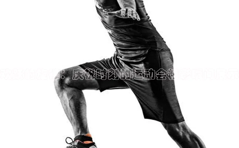 欢跃的旋律：庆祝时刻的运动会精彩瞬间展示