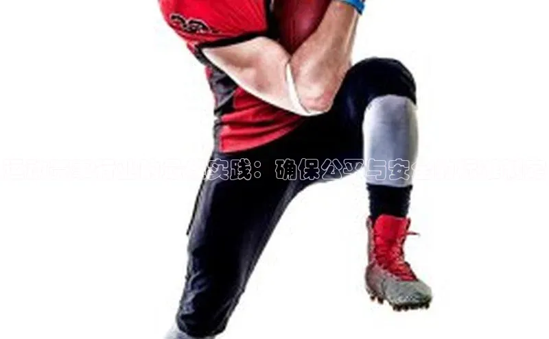 运动赛事行业的最佳实践：确保公平与安全的标准制定