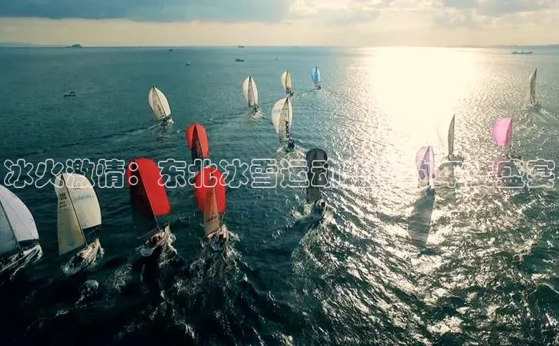 冰火激情：东北冰雪运动盛事的年度盛宴