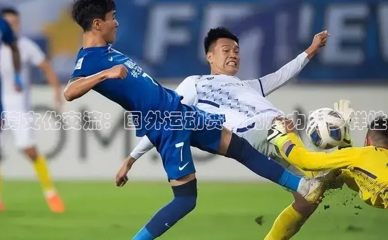 跨文化交流：国外运动赛事的魅力与多样性