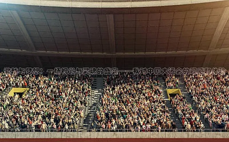激越与梦想：一场视觉与灵魂的盛宴——我对中国大运会的观感和体验