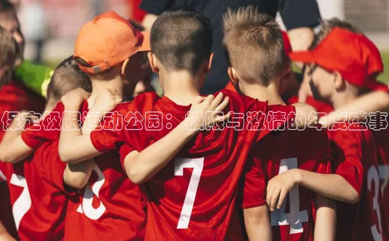 保定极限运动公园：极限与激情的年度盛事