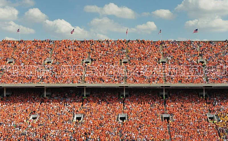 飞跃激情：极限与挑战的年度运动活动赛事