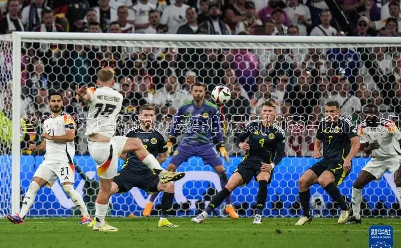 ：当前各大国际运动赛事的最新动态与热门焦点