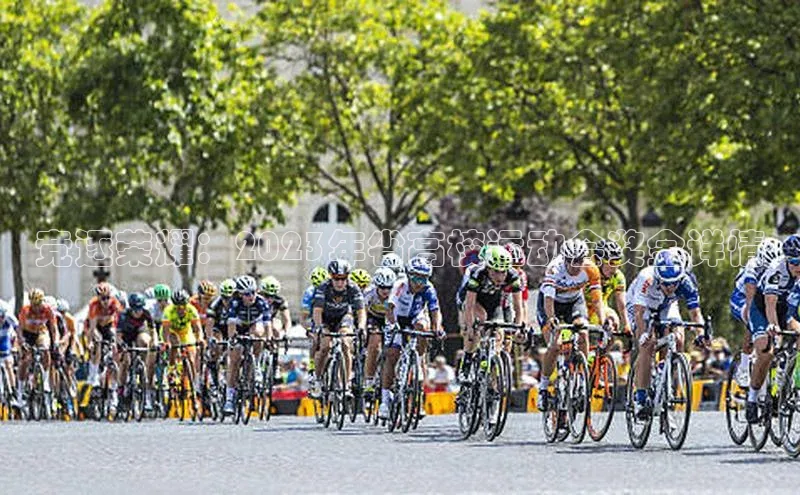 加拿大28开奖结果查询今天