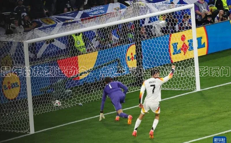 鼠年的热烈运动会：点燃活力与激情的精彩瞬间