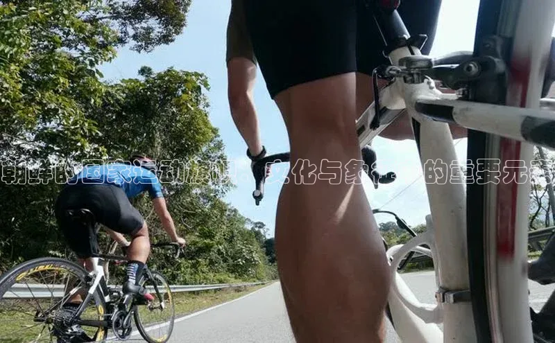 朝鲜的国家运动旗帜：文化与象征中的重要元素
